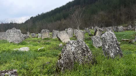 wide angle shot of ancient jewish cemetery with forgotten thumb stones with hebrew inscription in the village rascov in transnistria, the pridnestrovian moldavian republic - establishing eshot 2023