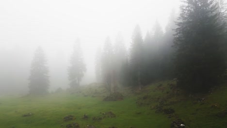 misty mountain forest: a serene landscape