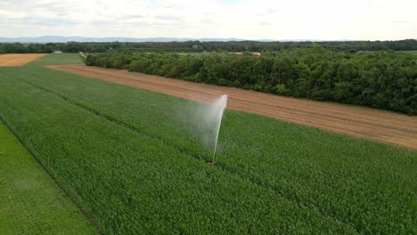 Bewässerungssprühgerät-Auf-Bebauten-Feldern-Im-Marchfeld,-Österreich---Drohnenaufnahme