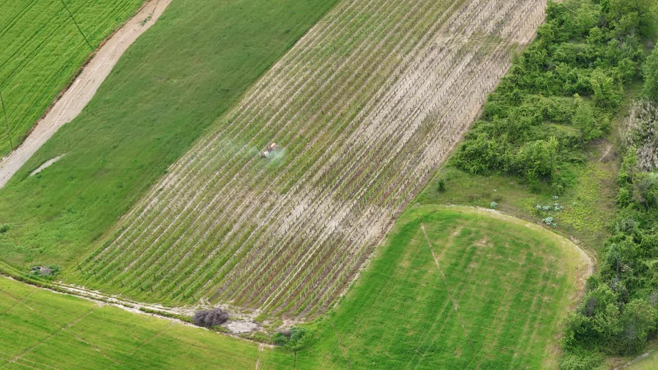Aerial farmland view showing agricultural tractor spraying pesticides uphill across cultivated wine farms vine rows with surrounding green fields and vegetation, PC, Italy