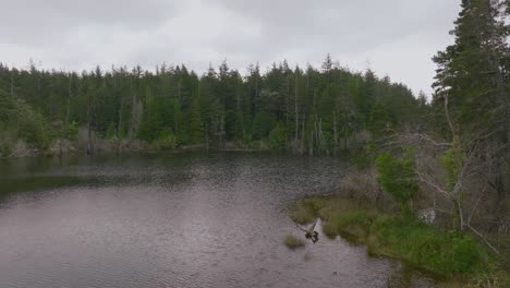 Directamente-En-El-Lago-Empire-En-Coos-Bay,-Oregon-Disparado-Por-Un-Mavic-3