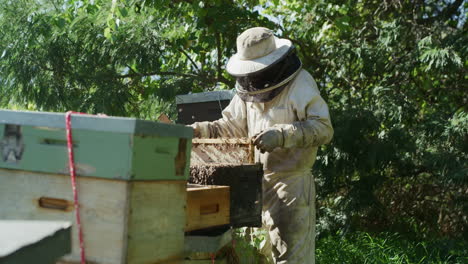 las abejas son un recurso