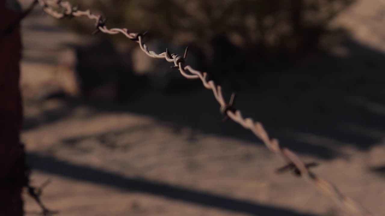 Barbed wire fence in the desert