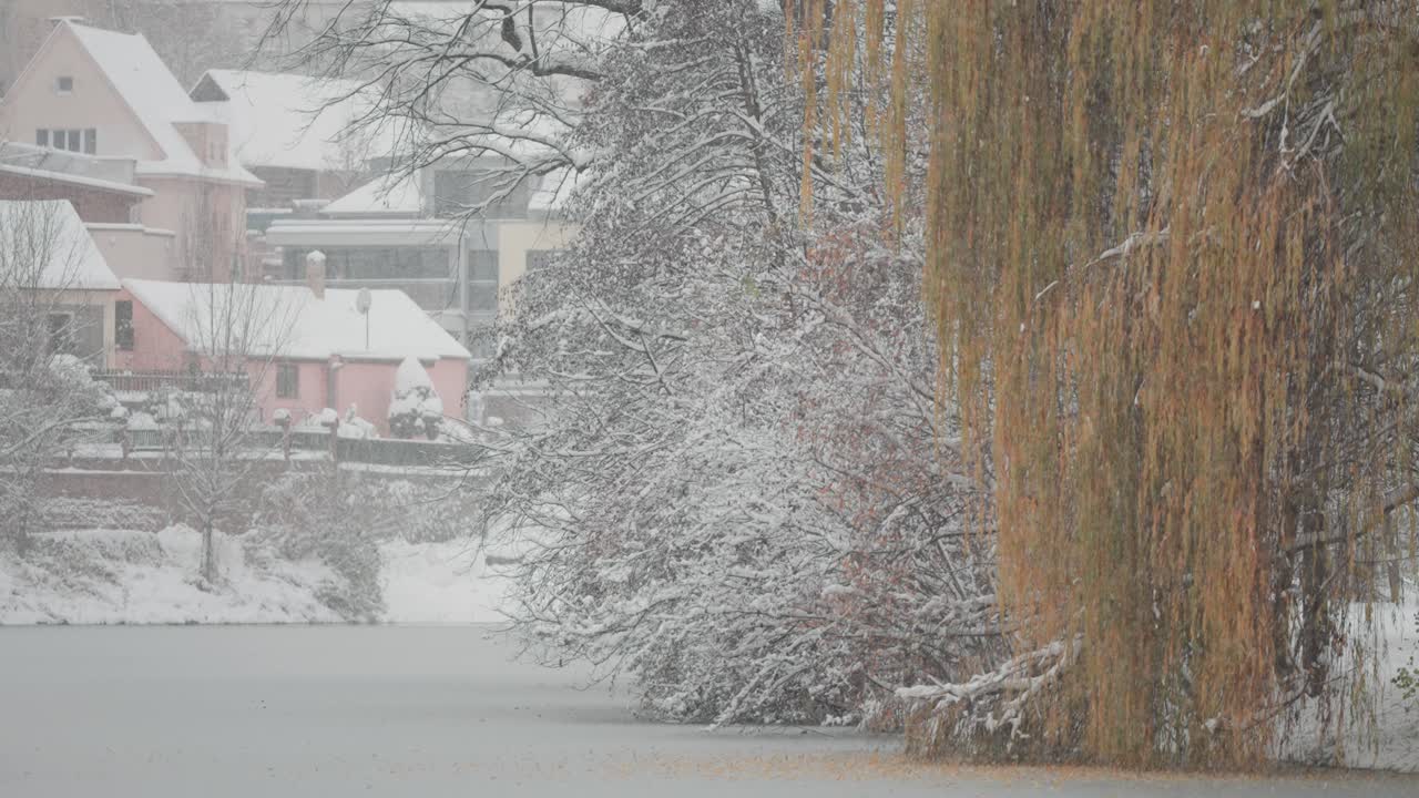 눈 인 나무와 집들이 작은 연못을 둘러싸고 있는 프라하의 조용한 동네의 조용한 겨울 풍경