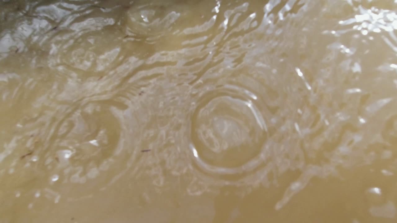 タイのカオソック国立公園の泥水で巨大な象を入浴し、こすり洗いする男性 – クローズアップショット