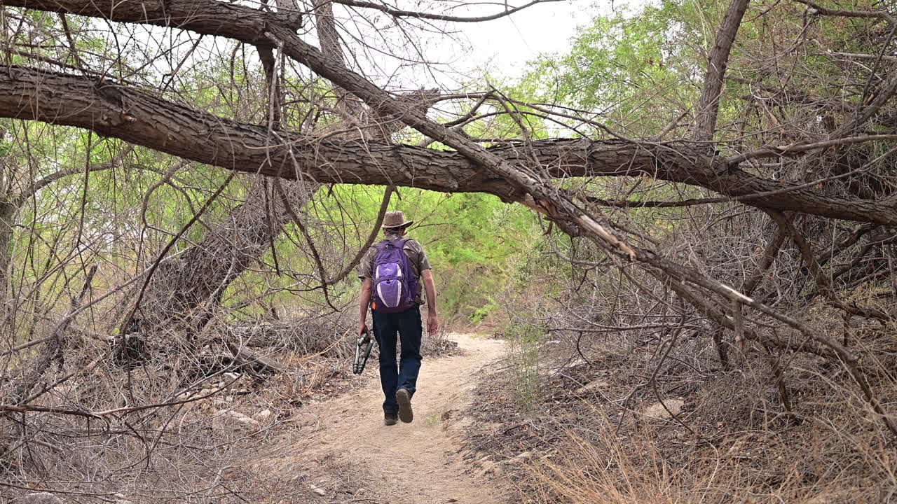 hombre con mochila y trípode caminando por un sendero forestal en un día soleado