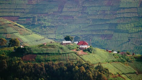 Terraced-farmland-on-hillside-in-rural-Africa---long-shot