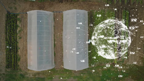 animación del globo con conexiones y procesamiento de datos sobre invernaderos y paisajes