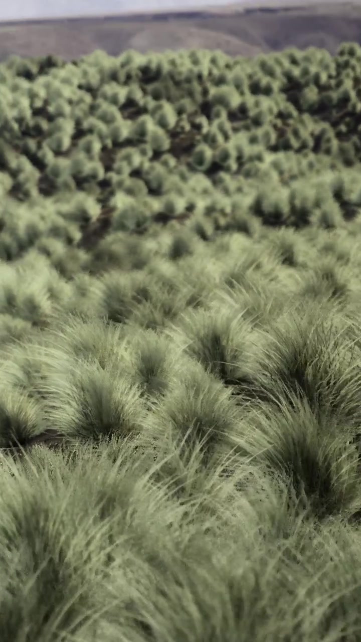Green grass fields cover the land during bright daylight hours in a rural area
