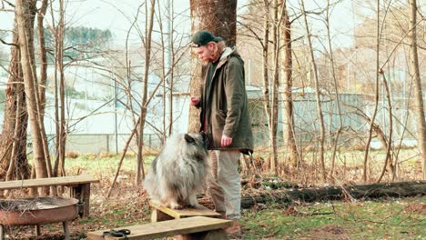 a wolfspitz and a young man practicing tricks together