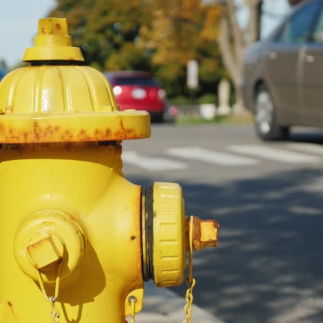 fire hydrant in a small american town