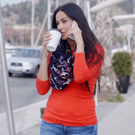 pretty chic young woman chatting on a mobile