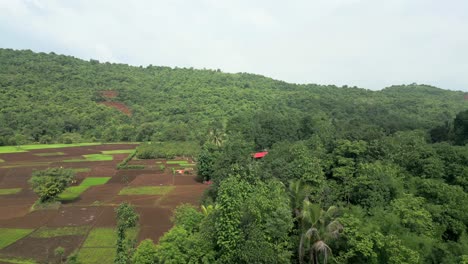 Grünes-Getreidefeld-In-Der-Bergstation-Drohnenansicht-In-Konkan