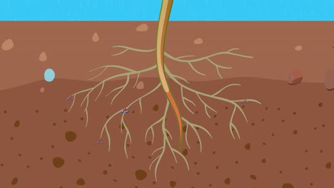 ilustración de la fotosíntesis en el crecimiento de las plantas