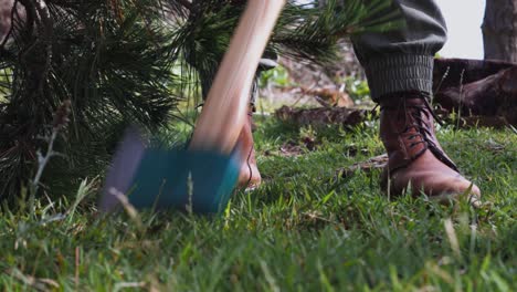 Woman-picking-up-small-pine-tree,-revealing-her-leather-shoes,-and-places-axe-on-ground