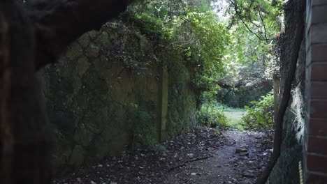 Jungle-of-Tomogashima-Island,-Overgrown-ruins-of-military-fort,-Japan