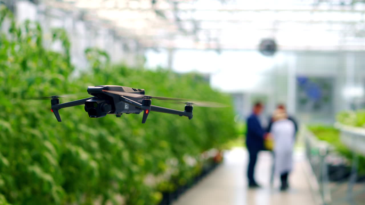 Drone filming through a greenhouse while people are working