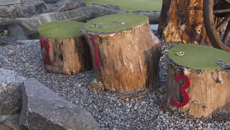 un puesto de ganadores del podio de madera hecho de un árbol viejo