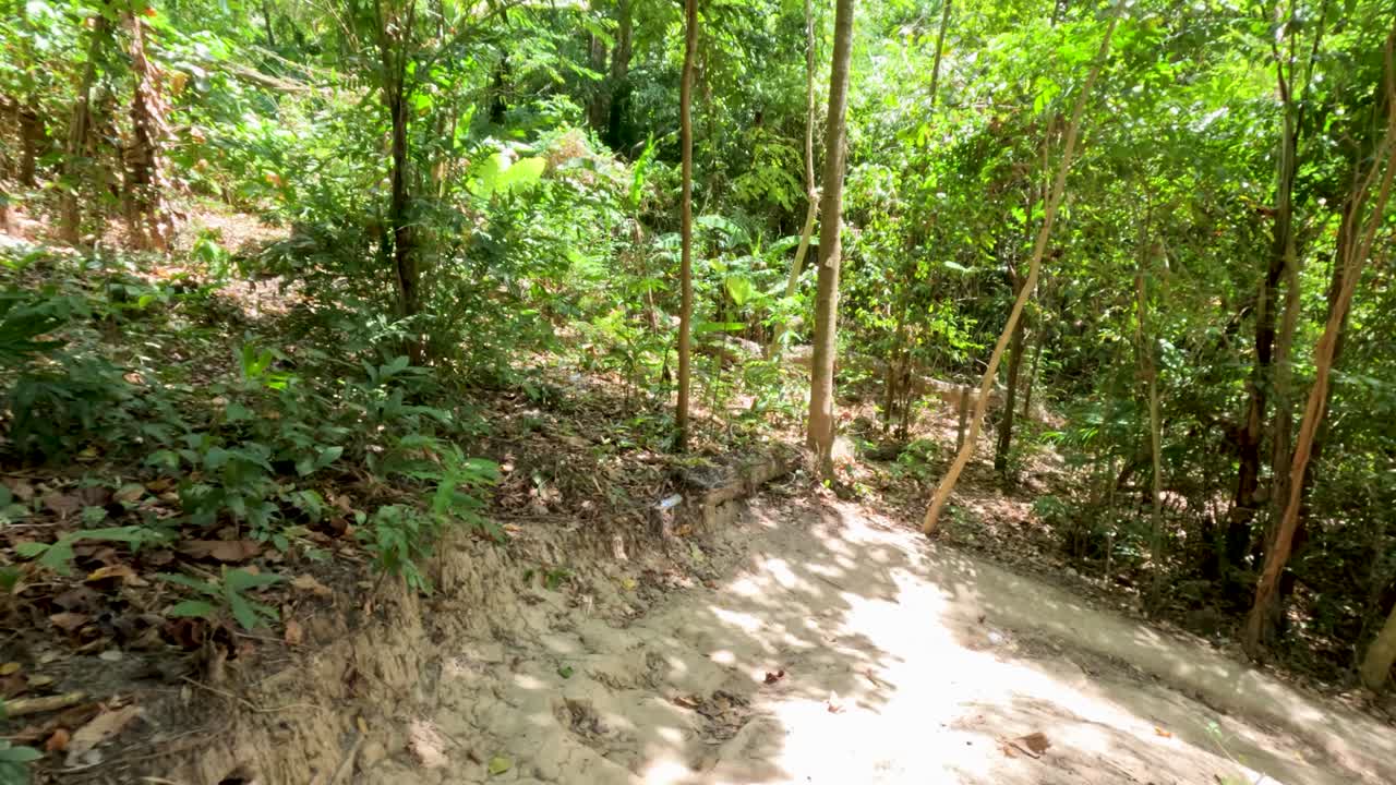 Handheld camera moves along dirt hiking path through lush, sun-dappled tropical forest