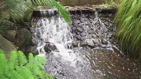 Pequeña-Cascada-Tropical,-Agua-De-Arroyo-Cayendo-En-Cascada-Por-La-Pared-Rocosa,-Tranquilo-Día-De-Verano