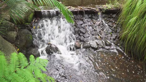 pequeña cascada tropical, agua de arroyo en cascada por la pared de la roca, pacífico día de verano