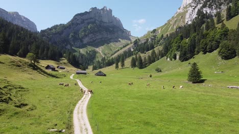 alpes suizos en suiza