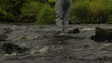 Low-angle-shot-of-a-fisherman-wading-and-casting-his-fly-line-into-a-river