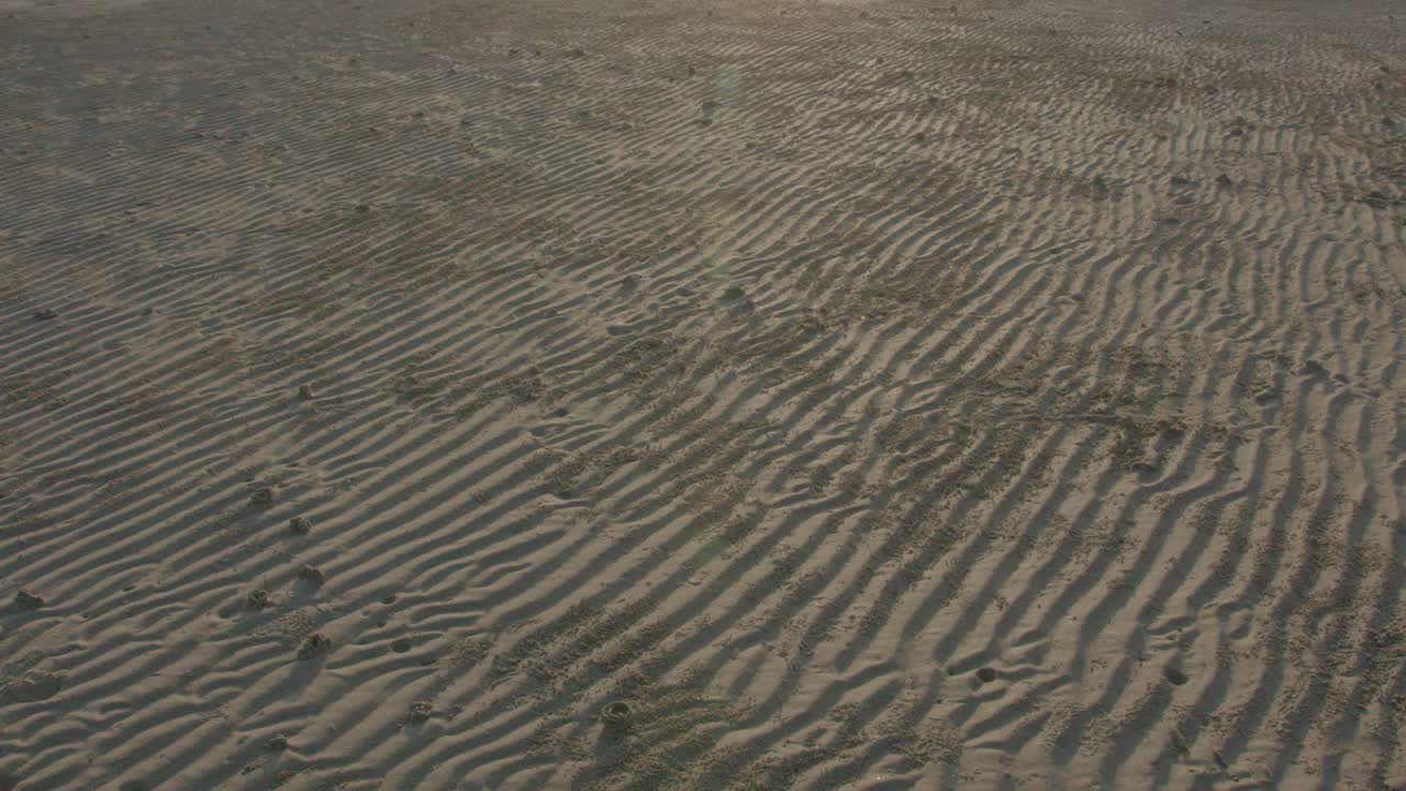 Rippled Sand on a Beach