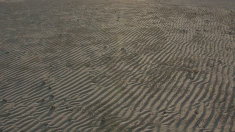 rippled sand on a beach