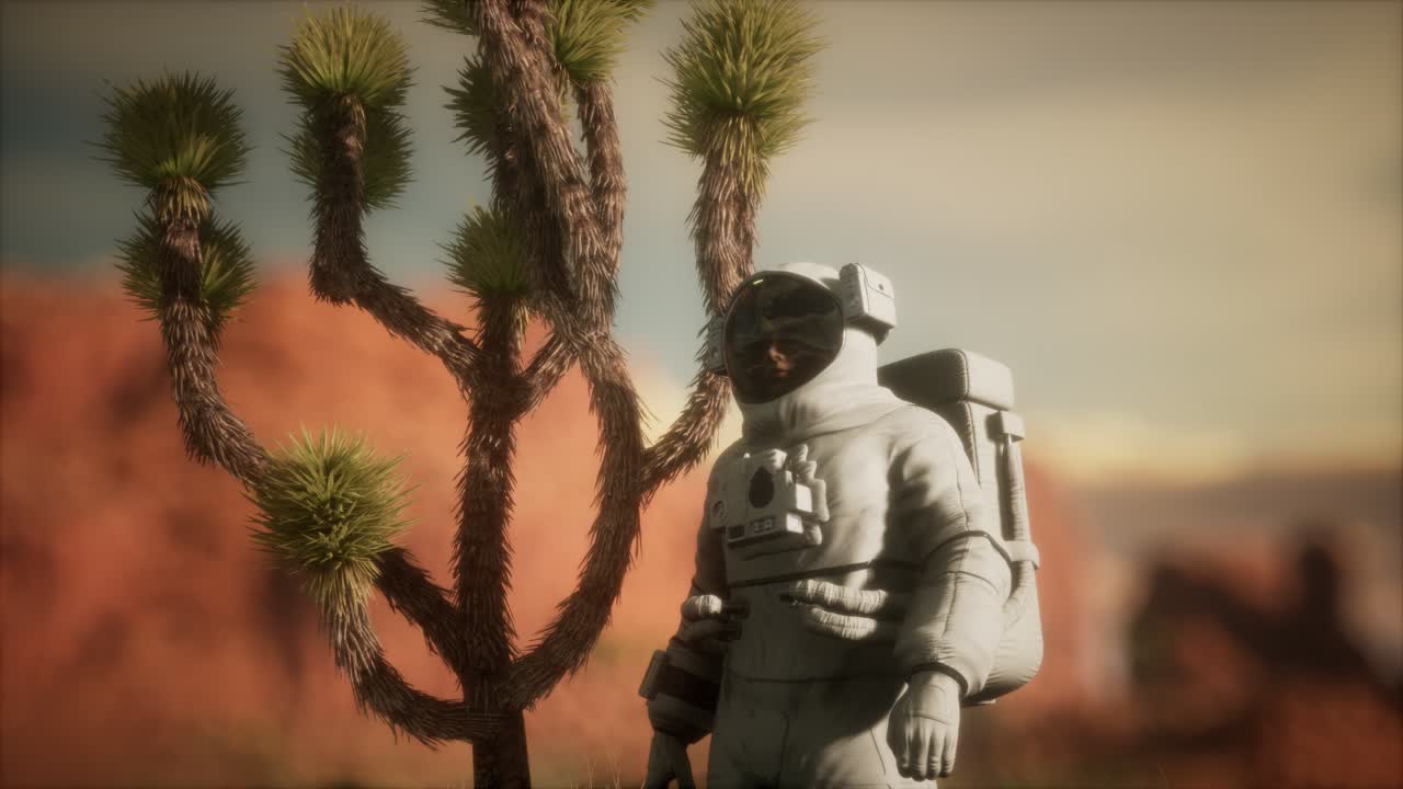 네바다의 높은 사막에 있는 우주 비행사