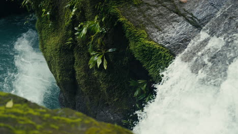 waterfall scenery with lush moss and vegetation
