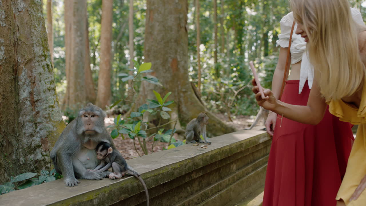 두 명의 여성이 스마트폰을 사용하여 숲 동물원에서 원 ⁇ 이의 사진을 찍고 소녀 친구들이 휴대 전화로 여행 모험을 공유합니다 소셜 미디어 발리 인도네시아를 발견하십시오