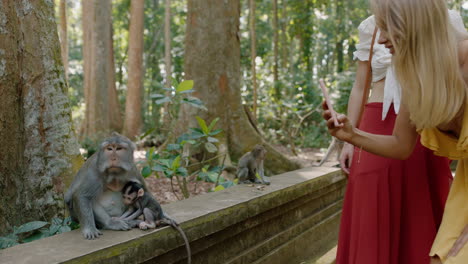 two women using smartphone taking photos of monkeys in forest zoo girl friends sharing travel adventure on mobile phone social media discover bali indonesia