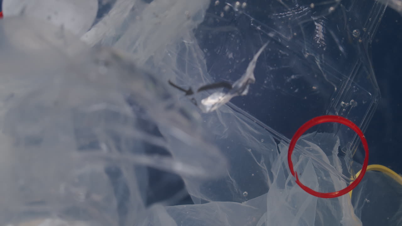 떠다니는 오염된 물을 낭비하다