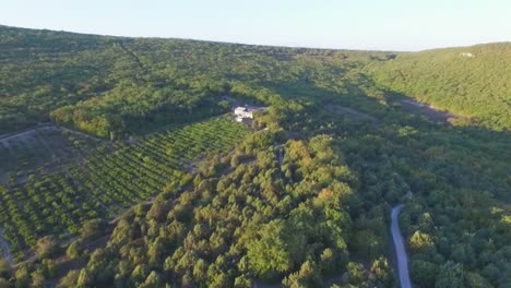 aerial view of vineyard and farmland in a mountainous region