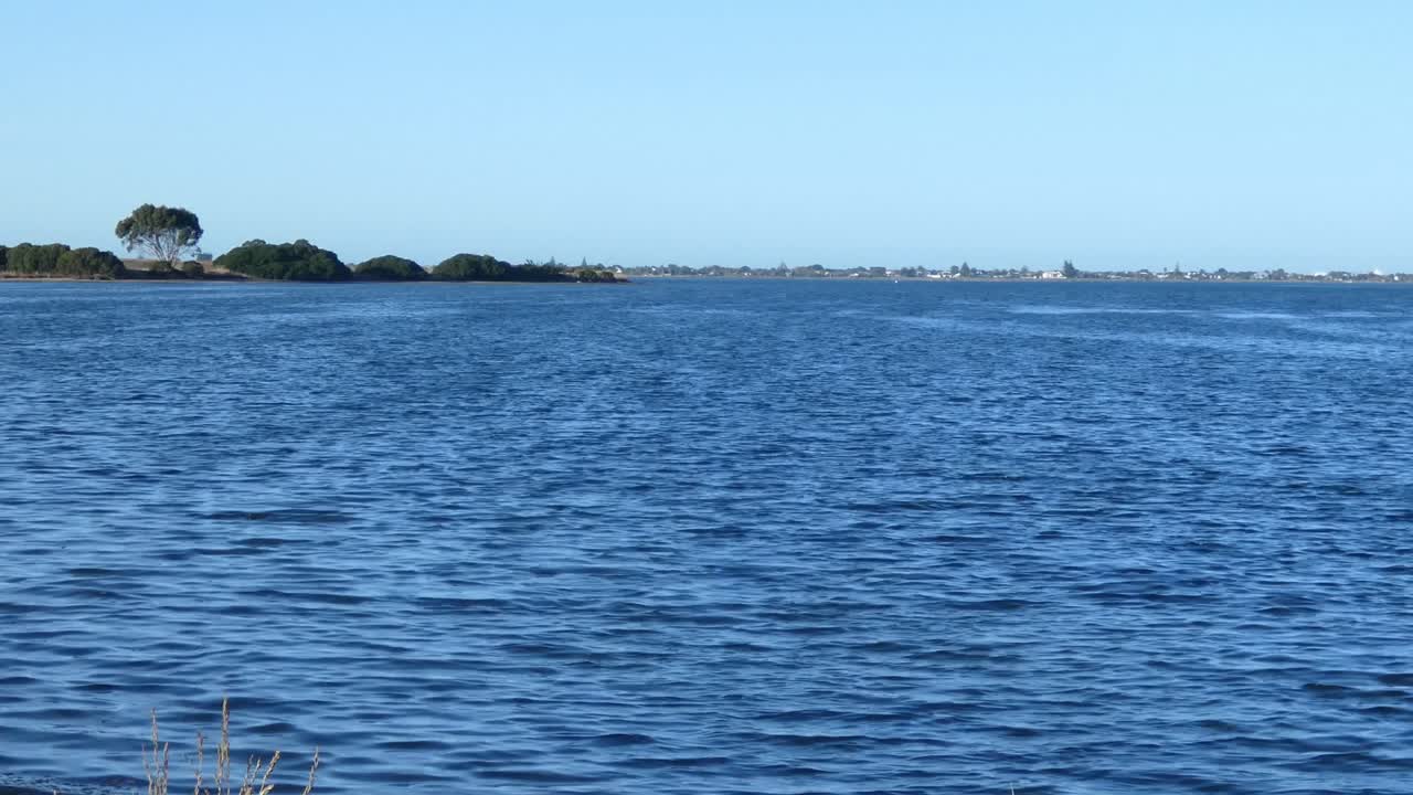 안정적 인 바람 은 물결 이 높아질 때 잉크 같은 파란색 의 강 입구 물 에서 멋진 물 패턴 을 만들어 니다 - 크라이스트처치, 뉴질랜드