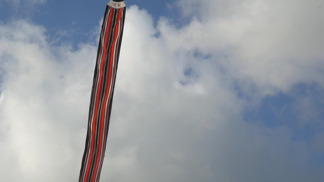 Langhalet glente flyver på himlen på Bali.