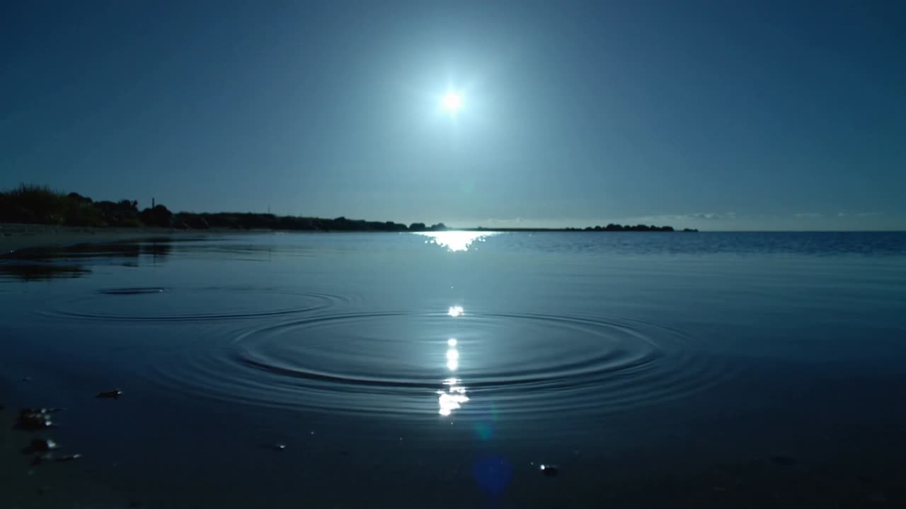 砂浜の太陽のきらめく水面に小さな円が現れ、同心円状の波紋が広がる。