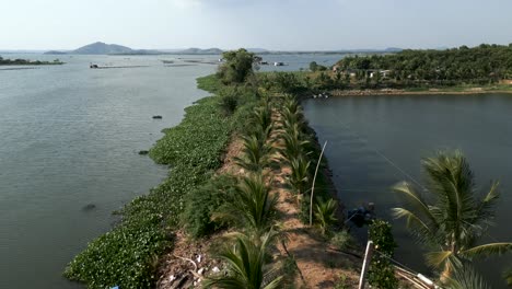 aerial view of fish farm and lake landscape
