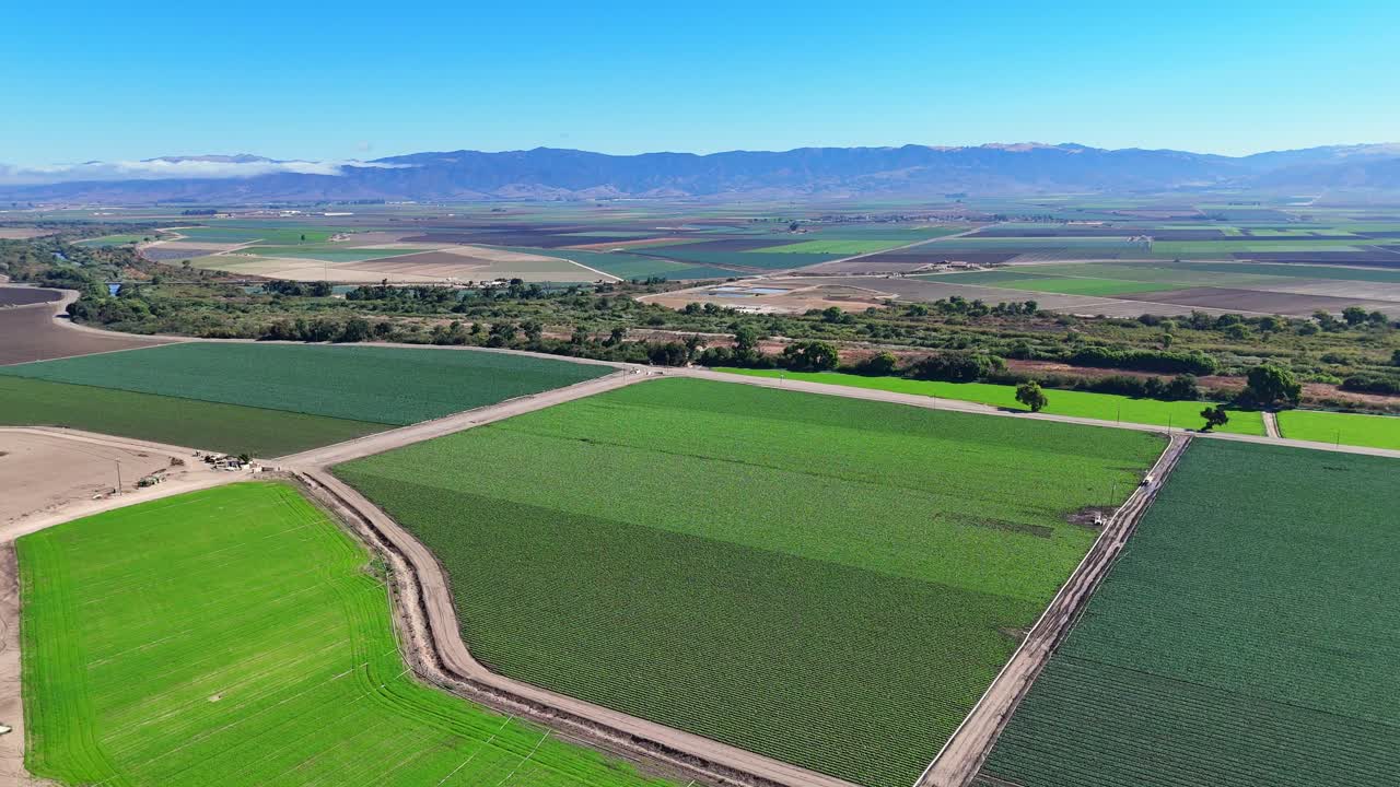 Lush green farm fields in Salinas Valley with rows of crops and dirt pathways