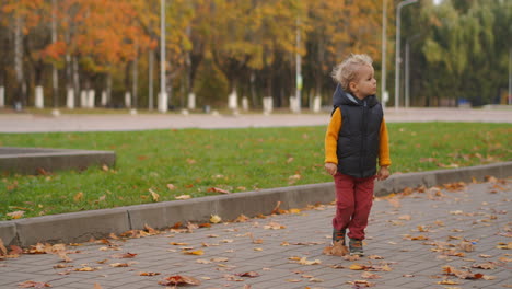 little boy is walking in park at autumn day alone cute toddler is strolling and rejoicing by weekend full length shot