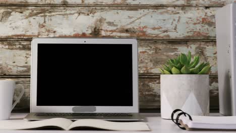 files, aloe vera plant, laptop and cup of coffee on table