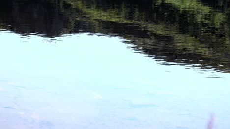 reflection in sea of mountains with small waves