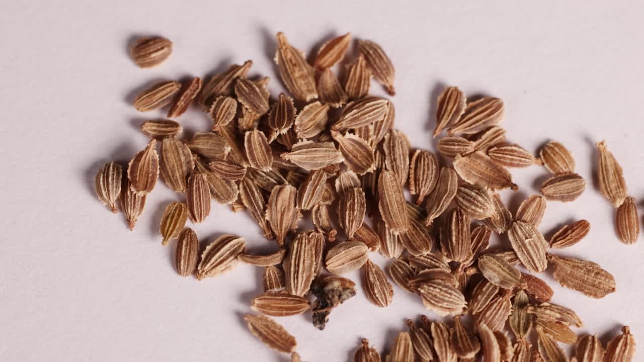 Close-up sequence of seeds on a white surface under bright lighting, highlighting texture and detail in a scientific environment