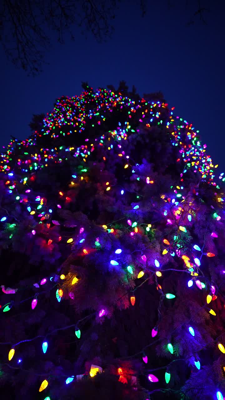 Jepretan Dekat Lampu Natal Berwarna-warni di Pohon pada Malam Hari, Potret Vertikal.