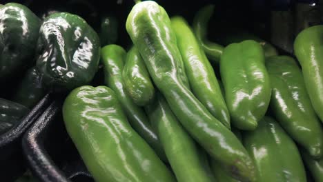 Fresh,-raw-assortment-of-spicy-peppers---isolated-close-up