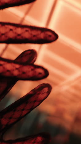 Close-up of Lace Gloves in Red Light
