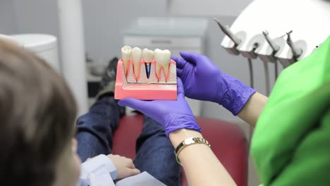 a dental assistant is demonstrating various tools and effective care techniques in a professional clinical setting.