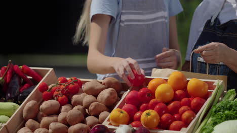 A-woman-and-her-granddaughter-sell-vegetables-at-the-market---they-put-tomatoes-in-a-paper-bag.-Only-hands-are-visible-in-the-frame