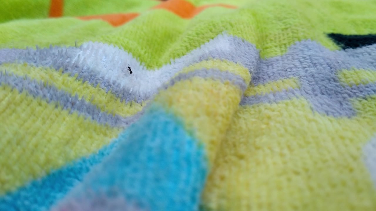 Small ant crawls across colorful textured towel near poolside in close-up view